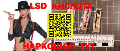 крисы Гай