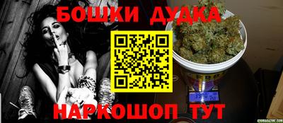 крисы Гай