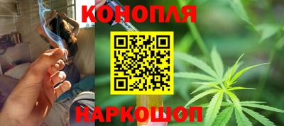 амф Гатчина