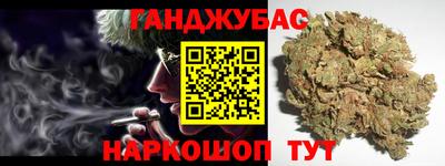 крисы Гай